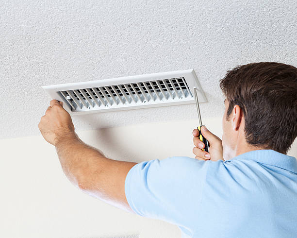Reliable North Gates, NY Mold Removal Solutions