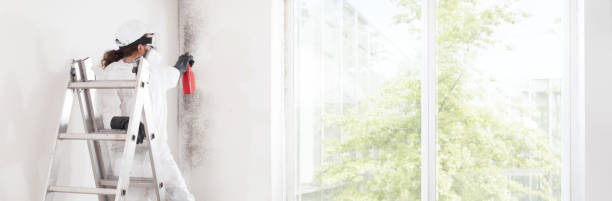 Best Asbestos and Lead Testing During Mold Inspection  in North Gates, NY